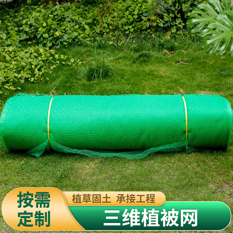 边坡绿化防护三维网三维植被网EM1/EM2/EM3/EM4/EM5种草护坡防水