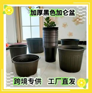 �羳�Ӂ�����S��ֱ�l��ɫ�Ӻ����ψA�λ�����طNֲ������Ӂ���