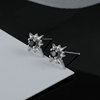 Arctic Star Strike Male Single Single is only trendy Personal Men, niche boys, handsome earrings female earrings