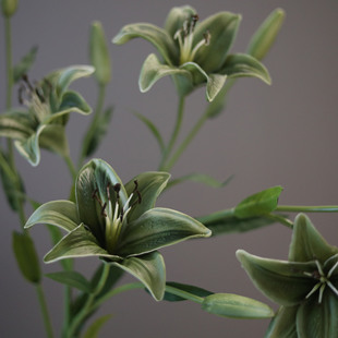 ����PU2�^С�ٺϻ� ����ʽ�L���컨 ������y̨�Gɫ�廨�b�Ʒ