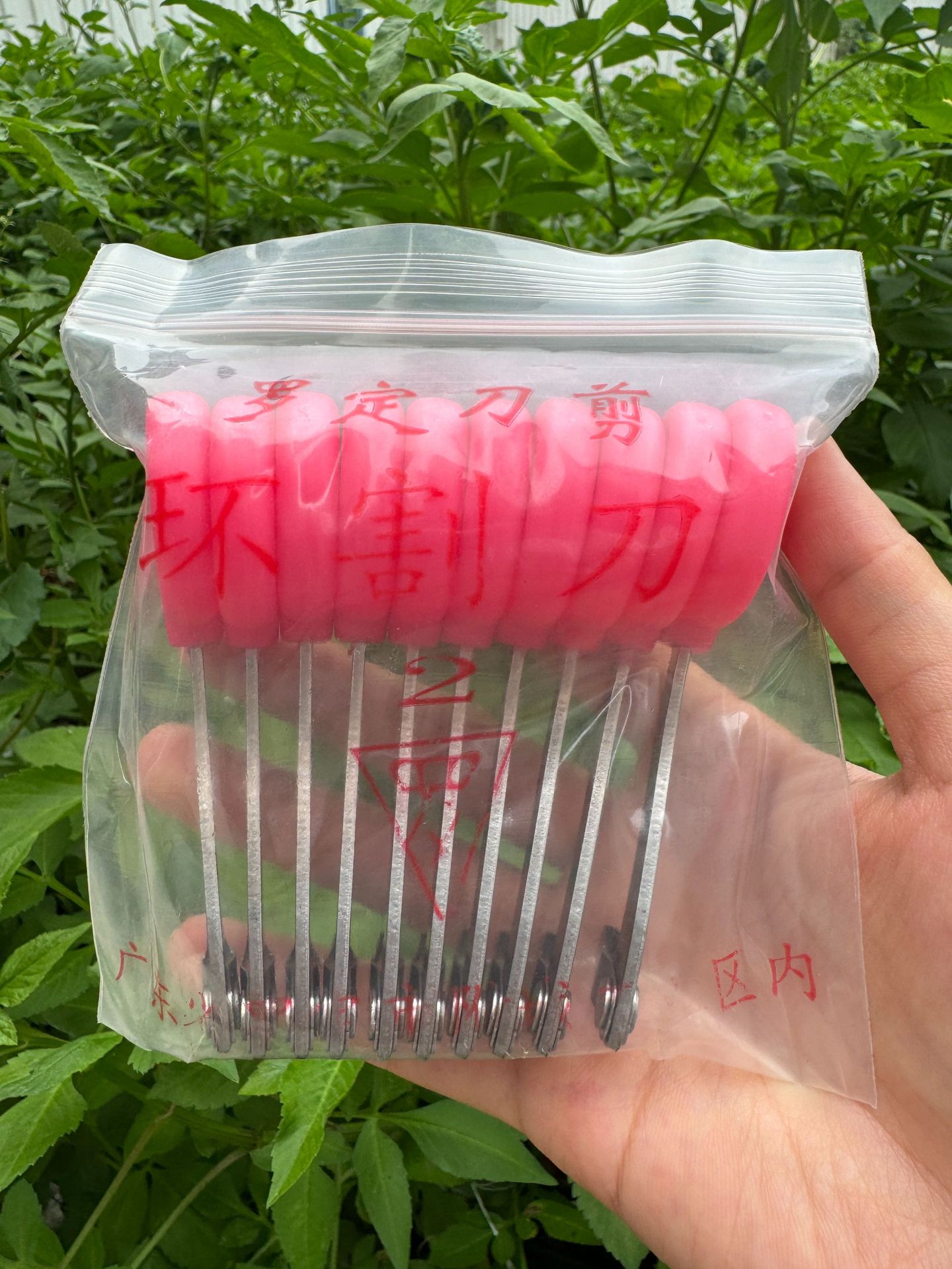 微信图片_20240822190650