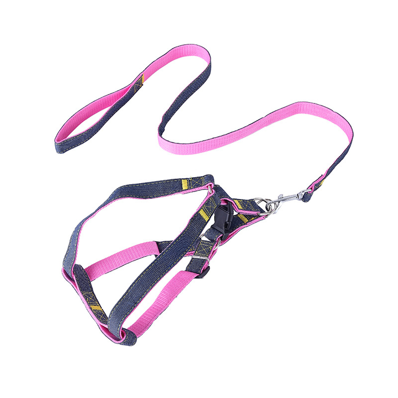 핑크 투피스 "트랙션 + 가슴 뒤로]