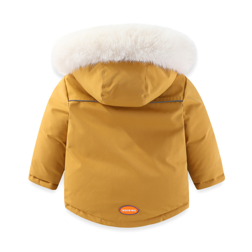 2无水印D25A4984 副本.JPG