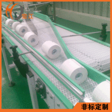 输送机厂家非标定制卷纸生产输送线纸巾加工输送系统模块网链输送