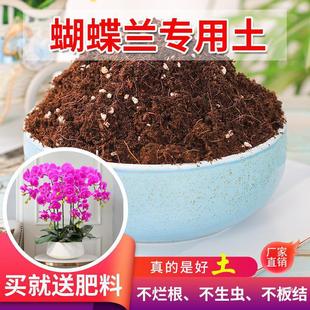 �����m�������B��ͨ���ͷNֲ�����������ЙC���Ի���N�Gֲ��