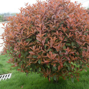 ��Ʒ�ļ�������ľ�t�~ʯ骘���ʯ���ë��ʯ骴�С������Ͱ�h����