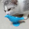 Food play, toy, interactive toothbrush, new collection, cat, pet, can bite