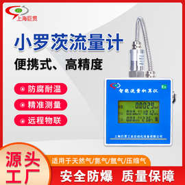 厂家直供304温压补偿一体智天然气体旋进天然气罗茨腰轮流量计