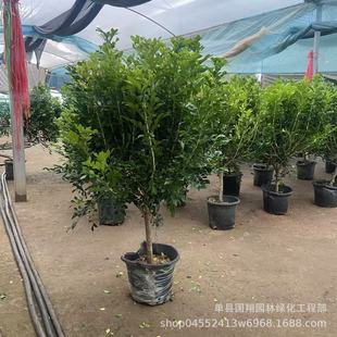 ����������������ʮ�����辰�҃��̨�k���҃����՚�Gֲ���ֲ��