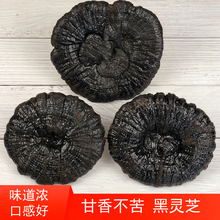 Ұ`֥`֥֥250gb֦Ƭ۳䲻