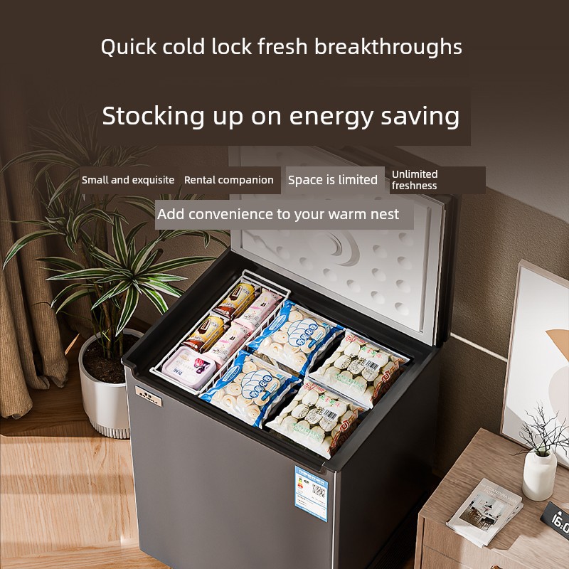 Snowflake Small Freezer Household Commercial Refrigeration and Freezing Dual-Purpose Large-Capacity Dormitory Rental Office Mini Freezer