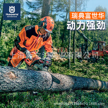 瑞典富世华husqvarna砍树伐木景观维护造柴切割树木大功率油锯