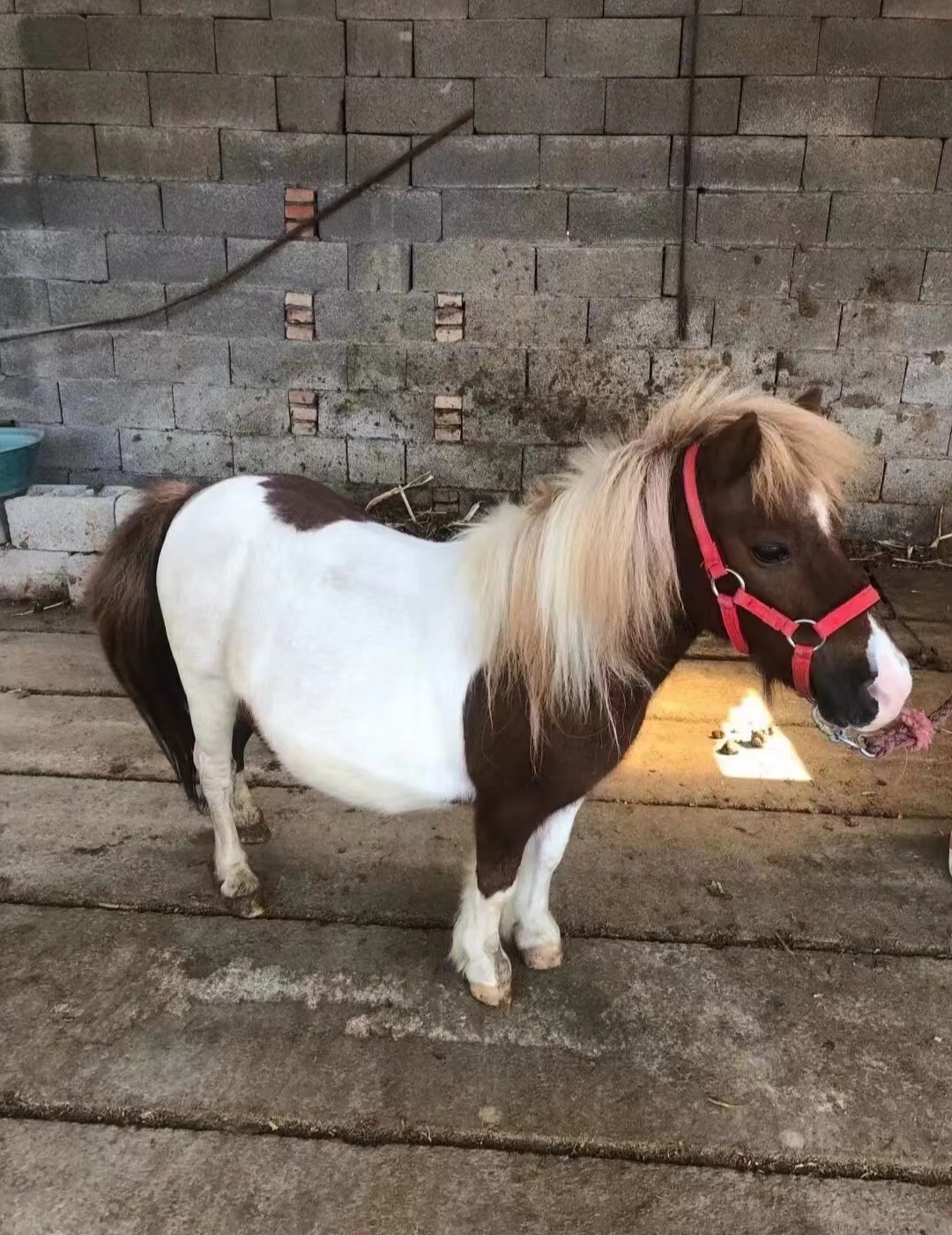 微信图片_20230430120026