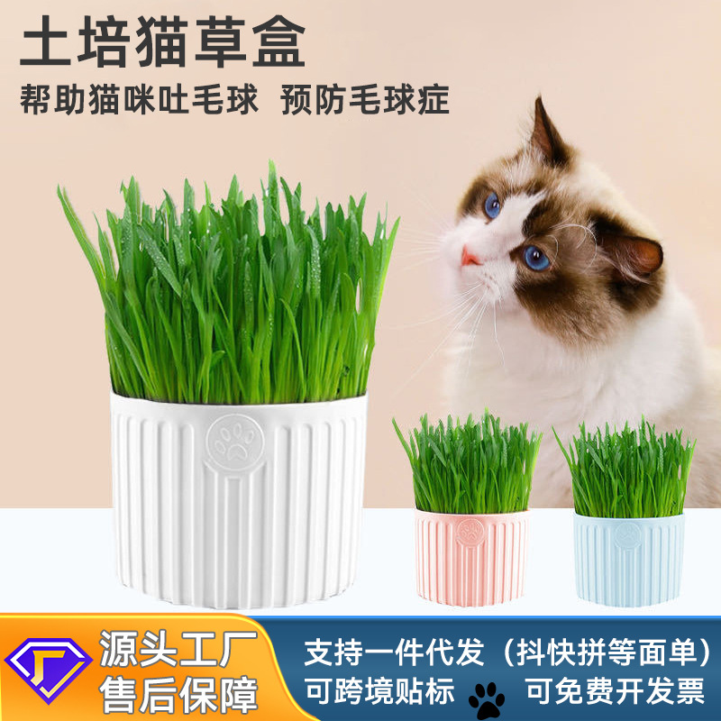 Semillas de trigo en maceta para gatos al por mayor, bocadillos para gatos, alimentos para mascotas, bolas de eliminación de pelo, suplementos nutricionales, caja de hierba para gatos cultivados en tierra