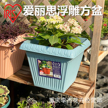 爱丽思300方盆爱丽丝浮雕树脂塑料阳台蔬菜月季多肉盆栽种植花盆