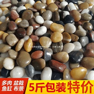 Courtyard Pebbles Colored Stones 2.5kg Pebbles Landscaping Natural Small Stones Raw Stones Fish Tank Flower Pots Rain Flower Stones