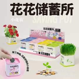小花农桌面盆栽厂家批发花花储蓄所系列创意礼品趣味办公桌绿植