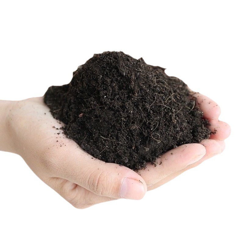 O1CN01I9w1551yUbshoPQuy_!!2218381076582-