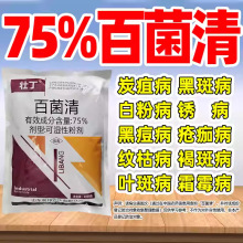 Ѷ75%پ匣ÚO~cƷrrș