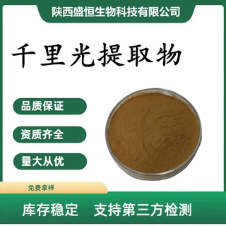 千里光提取物千里光粉比例提取九里光提取 可原料加工中药提取物