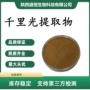 九里提取比例千里光提取物