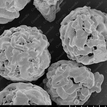 �����/��������� Nb2O5/≷�Nb ���x�ӞR��в���