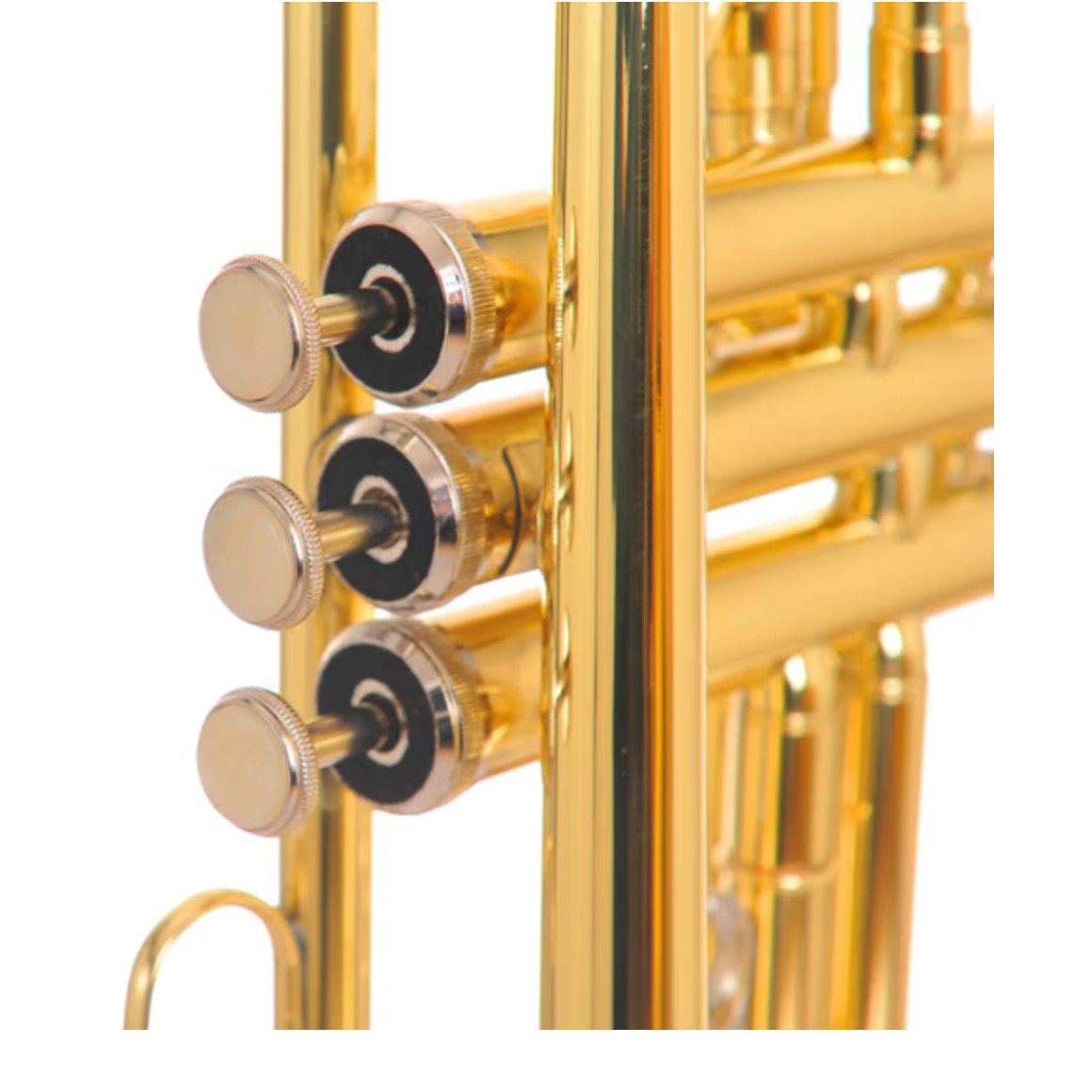 Sedeson Beginner's Piston Golden Edition STR-100
