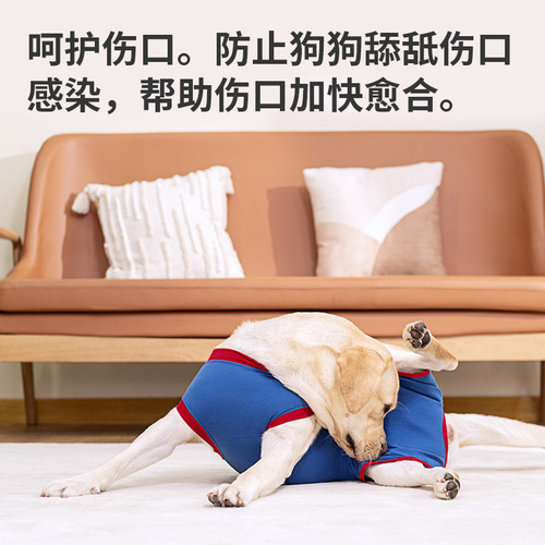 Pet recovery clothes, dog post-surgery clothes, recovery back Velcro sterilization clothes, cross-border pet clothing factory