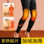 抗寒特厚冬季加厚秋裤