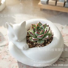 �羳3d��ӡè�䱧�뻨�����ֲ��С�ͻ��ܻ���ڼ����﹤��Ʒ