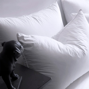Five-star hotel down pillow 90% white goose down pillow soft rebound cotton 80 anti-feather cloth down pillow core