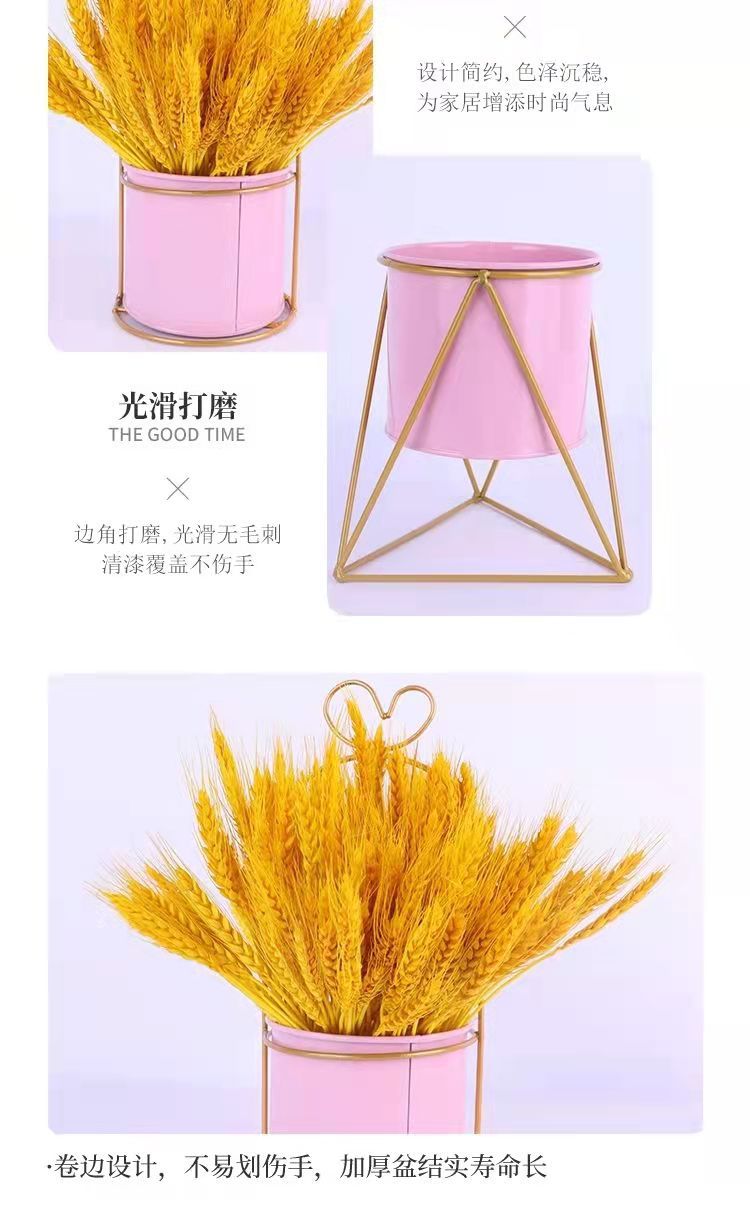 微信图片_202110151844167