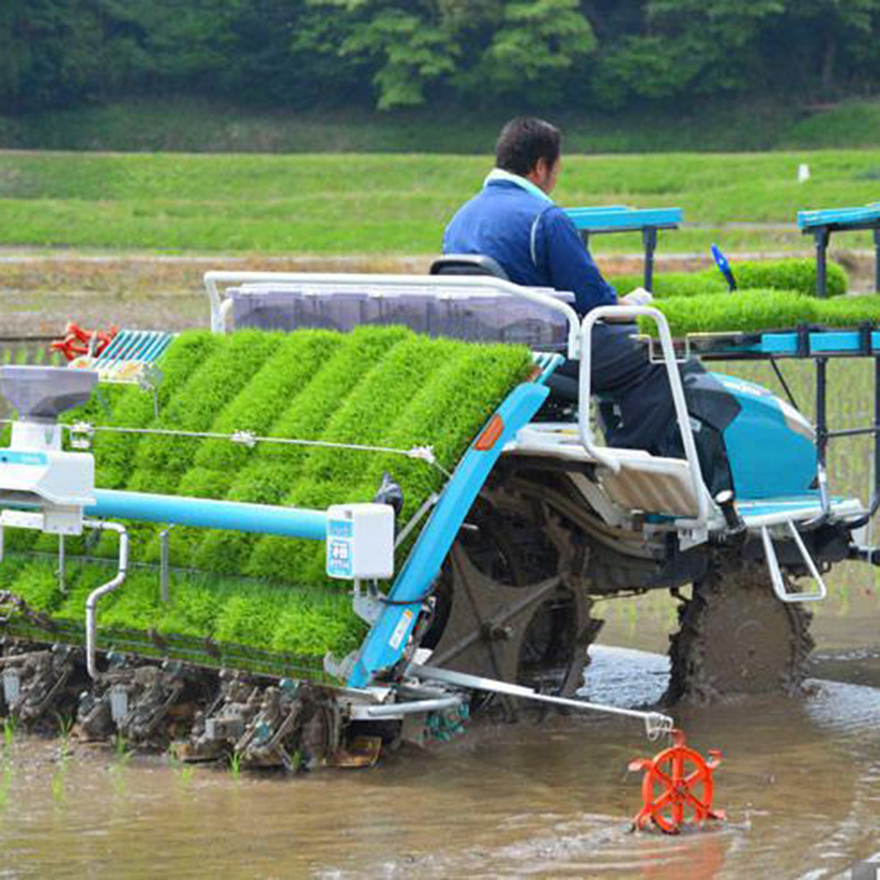 销售手扶水稻种植机 全自动汽油稻子插秧机 水田用插秧机