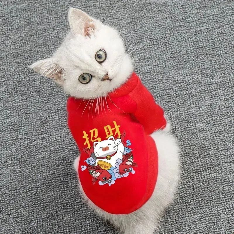 (2개) 축제 애완 동물 옷 머리 가을 | 겨울 고양이 작은 강아지 CORGI BOME ANTIFREEZE 고양이 스웨트 셔츠