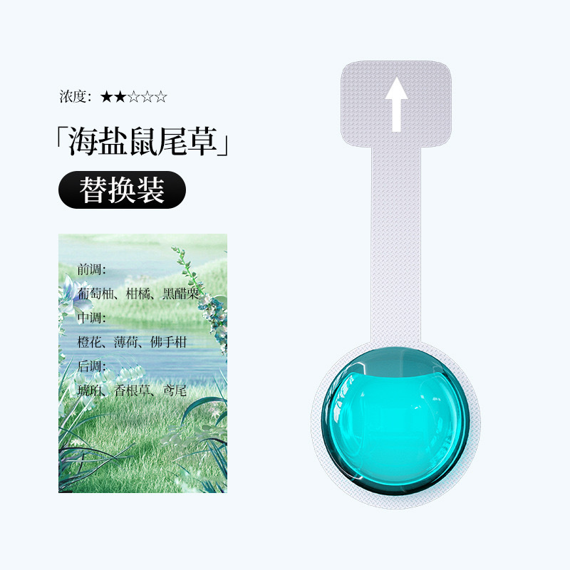 씨솔트 세이지 [개별 향수 리필]