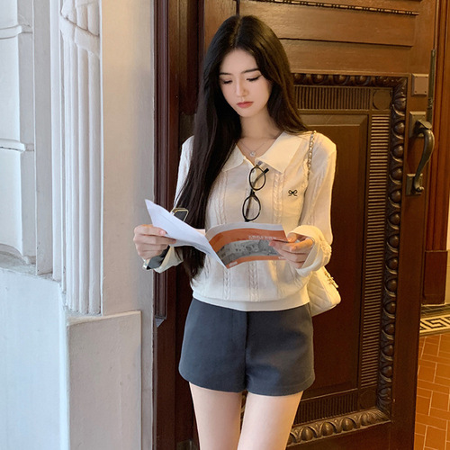 Korean-style minimalist bow embroidery POLO collar long-sleeved knit top for women, early autumn casual versatile flattering blouse