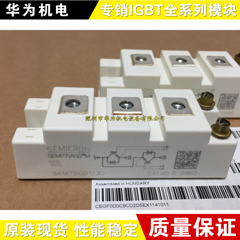 原装SKM75GB128 SKM75GB123 SKM100GB128E SKM50GB12T4