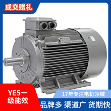 YE5 YE5-160L-8 7.5KW YE5 