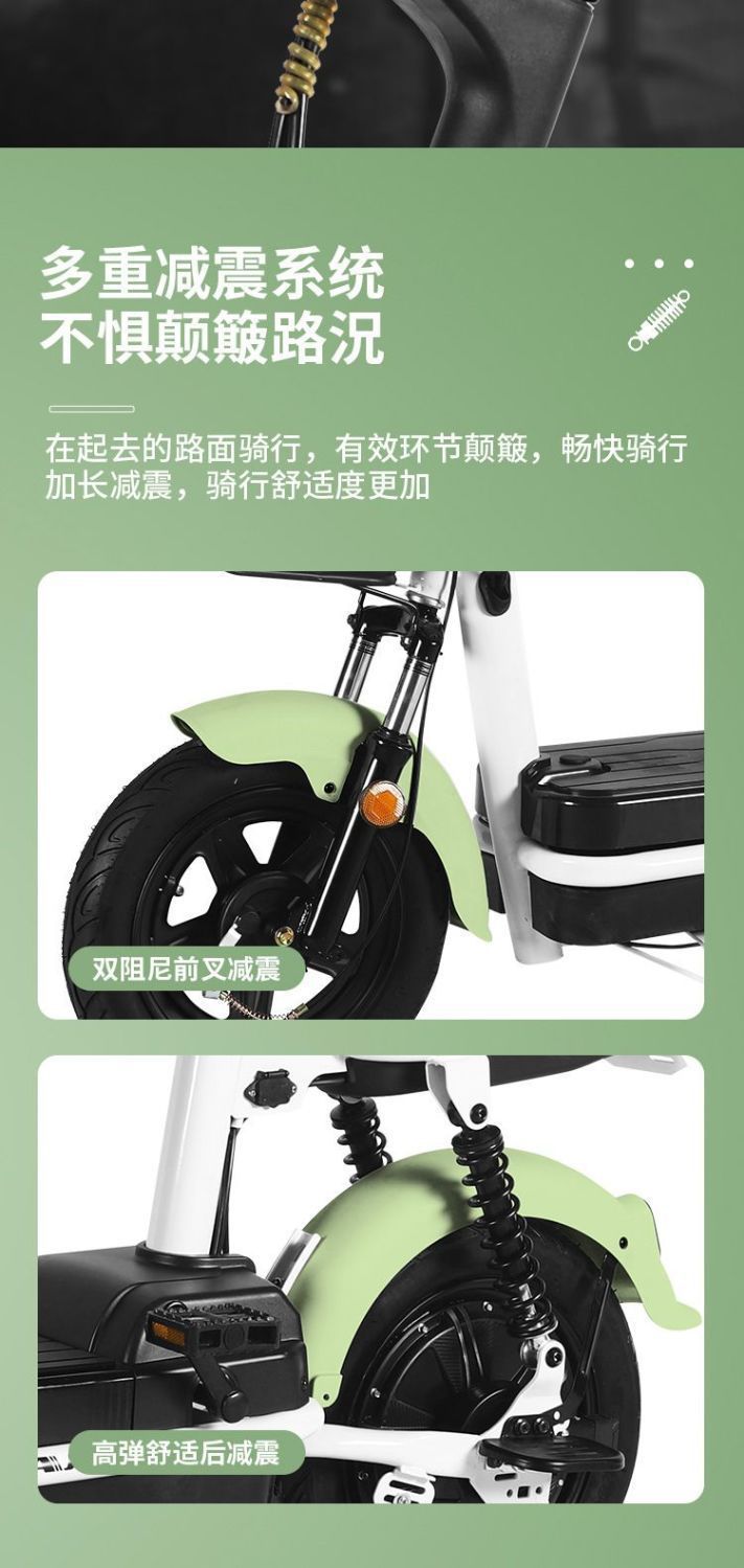 2025 New National Standard Electric Bicycle for Adults