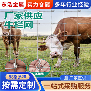 ����\ţ�ھW䓽z�W�BֳȦ�W�Y����ײ����ԭ���ھWƽ�y�Q����ˇ