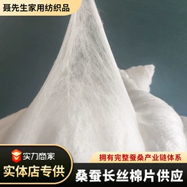 蚕丝被;被套;蚕丝光胎