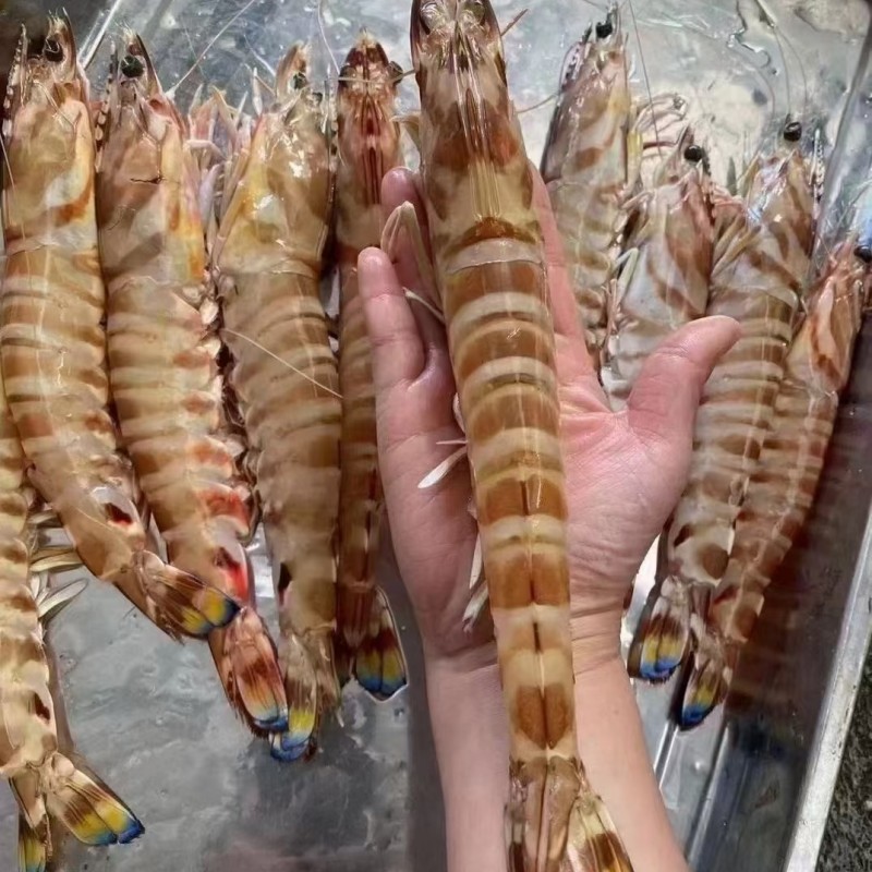 mmexport1673100122736_副本