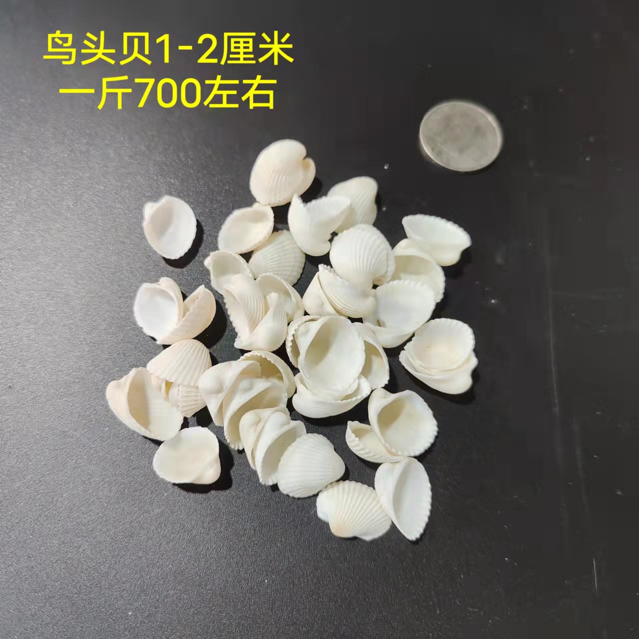 微信图片_20220311173701