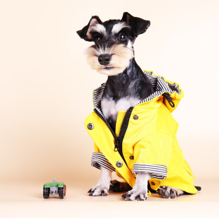 Pet hooded jacket thickened windproof warm dog clothes jacket large dog pet autumn and winter waterproof raincoat