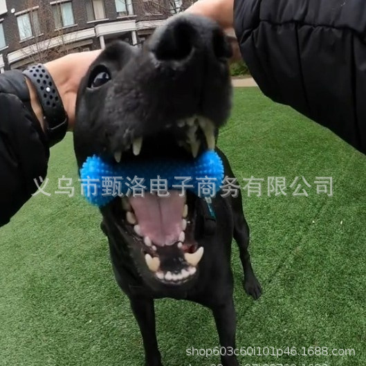 New Cross-Border Model for Easier Teeth Brushing Pet Teeth Grinding and Brushing Stick Quick Auxiliary Brush