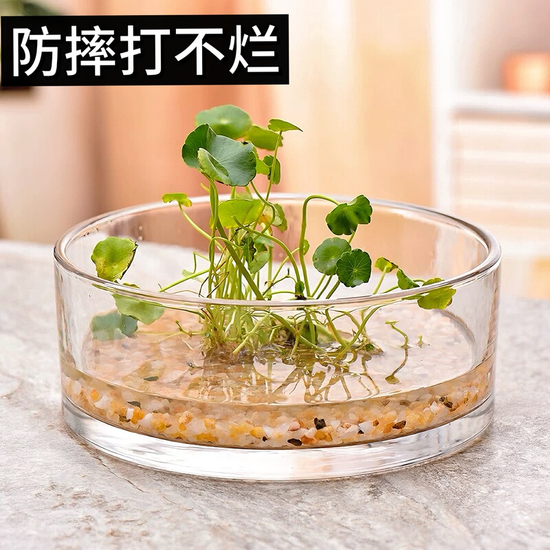 Transparent Round Cylinder Hydroponic Round Cylinder Flower Vessel Living Room Desktop Flower Arrangement Vessel Floral Arrangement Flower Pot Large Diameter Transparent Round Cylinder Hydroponic Round Cylinder Flower Vessel Living Room Desktop Flower Arrangement Vessel Floral Arrangement Flower Pot Large Diameter