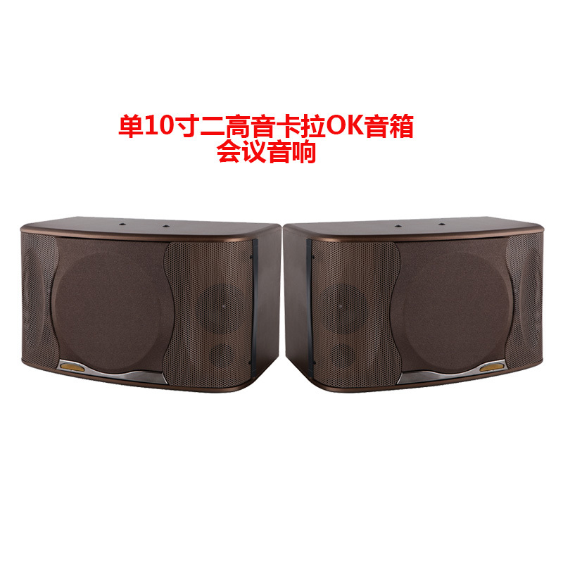 Altavoz de karaoke SK-100V individual de 10 pulgadas, sistema de audio profesional para KTV, granja, villa, cine en casa, conjunto para conferencias