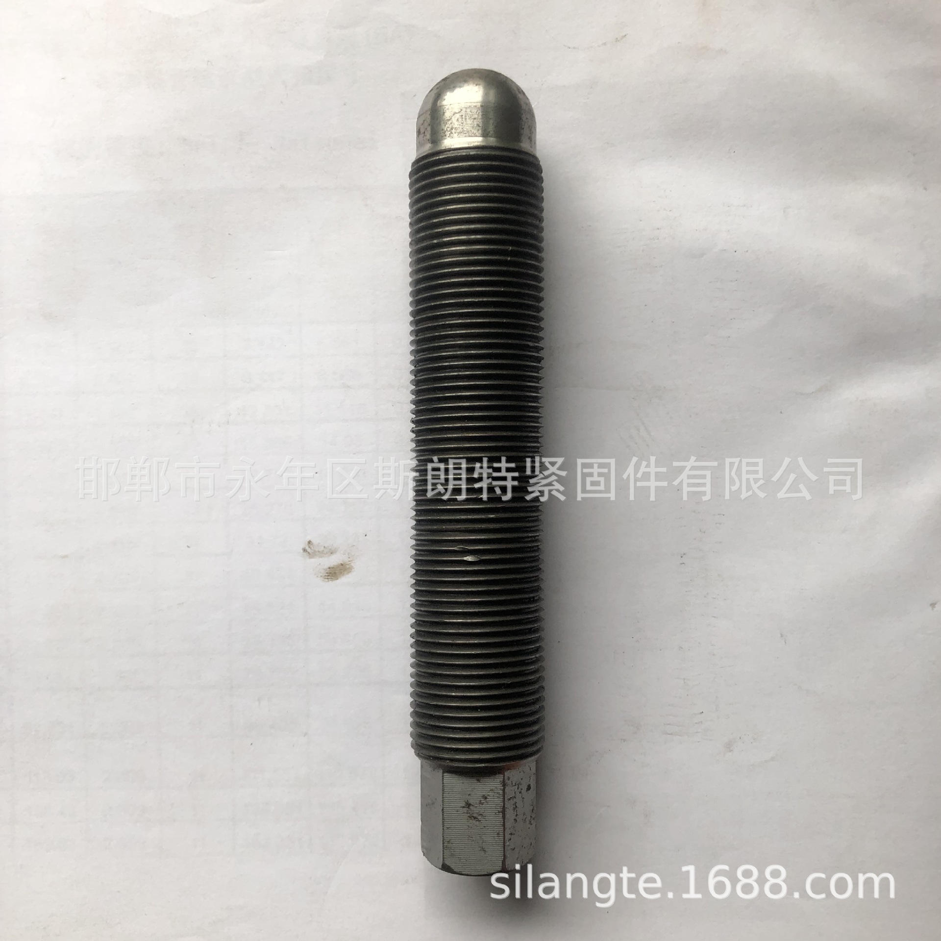 ˿  ˿   ˨ س˿ ܶ˿