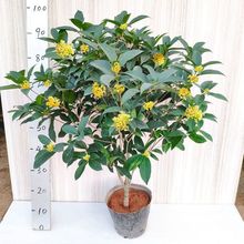 һ�����l���ļ����������Ժ��B�������ͺ��҃���ͥԺ�����̨