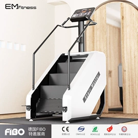 其他健身器材;组合健身用品;跑步机